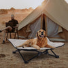 Elevated Dog Bed Foldable Rasied Waterproof Pet Cat Bed Camping with Bag