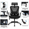 Office Desk Chair Ergonomic Computer Chair w/ Adjustable Lumbar Headrest Black