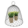 30cm Chicken Wire Garden Seedling Cloche / Plant Cover / Rust Metal Display Dome