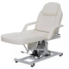 Electric Massage Table 3 Section Adjustable Bed Couch Beauty Salon Tattoo Chair
