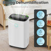 OAYAJIA 25L/Day Quiet Air Dehumidifier with Purifier, Timer, for Home Laundry UK