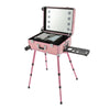 Rolling Makeup Train Case Cosmetic Trolley Organizer Travel w/LED LIght & Mirror