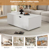 Coffee Table With Storage Lift Top Up Drawer Shelf Living Room Furniture White