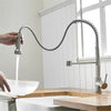 BigSale Monobloc Pull Out Kitchen Mixer Tap Dual Spout Spray Single Lever Chrome