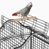 African Grey Cage Large Open Playtop Parrot Bird Cage for Cockatiels with Stand