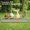 Heavy-Duty Galvanized Steel Chicken Feeding Trough Metal Chicken Feeder