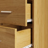Modern 2 Door 2 Drawer Wardrobe with Shelf Hanging Rail Clothes Storage Cupboard