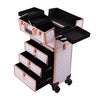 Rolling 5 in 1 Makeup Trolley Beauty Trolley Case w/Drawers Hairdressing Case