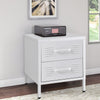Metal Storage Cabinet 2 Drawers Filing Cabinet Office Under Desk Files Cabinets