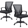 Flamaker Office Desk Chair Ergonomic Computer Chair with Lumbar Support Black