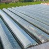 Greenhouse Polythene Plastic Cover UV5 Clear Poly Film 10m x 4m for Horticulture