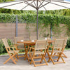 Brokky Folding Garden Chairs 6 pcs Beige Poly Rattan and Solid Wood,Folding W3F6