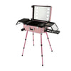 Rolling Makeup Train Case Cosmetic Trolley Organizer Travel w/LED LIght & Mirror