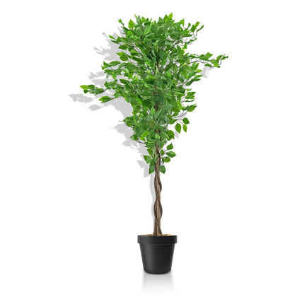 Artificial Ficus Tree Plant 150cm Large Ficus 5Ft Realistic Plants