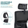 Ralex-chair Ergonomic Office Chair, Desk Chair with Adjustable Headrest, Black