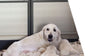Heavy Dog Playpen Pet Puppy Cage Exercise Camping Fence Wire Mesh Whelping Pen
