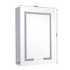 LED Bathroom Mirror Cabinet Touch Switch with Storage Wall Mounted 3 Color Light