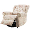 Dual Motor Lift Chair Recliner Armchair for Elderly with Heat & Massage Function