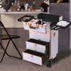 Rolling 4 in 1 Makeup Trolley Beauty Trolley Case w/Drawers Hairdressing Case