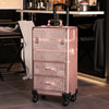 Professional Makeup Trolley Case Cosmetic Mobile Beauty Hairdressing Vanity Case