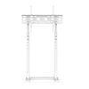 Elegant White TV Floor Stand Flat Panel Screen Adjustable TV Mount Bracket Displ