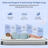 Queen Size Box-spring Mattress 23cm High Density Foam Mattress Medium Firm