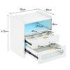 LED BedsideTable Cabinet Storage Nightstand W/Charging Station 2 Drawers White