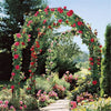 Metal Wedding Arch Trellis Garden Arbor for Climbing Plants Floral Decor