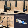 Monobloc Black Kitchen Sink Mixer Taps with Pull Out Hose Spray Single Lever Tap