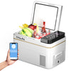 Car Refrigerator Freezer Fridge Portable Vehicle Camping Cooler Box -20℃~20℃ UK