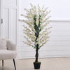 White Wintersweet Large Fake Indoor Tree Home House Plant 150cm Tall in Pot