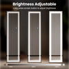Full Length Mirrors With Lights LED Free Standing Floor Mirror With Dimming