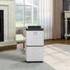 12L Dehumidifier Portable Quiet 36dB Home Air Dryer for Mould Moisture Damp Room