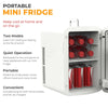 15L Mini Fridge Table Top Electric Cooler & Warmer Portable Ice Box Office Car