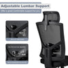 Ralex-chair Ergonomic Office Chair Back Support, Office Desk Chair, Work chair