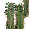 Large Artificial Tree Realistic Cactus Tropical Potted Plant IndoorOutdoor Decor