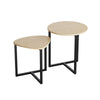 Modern Nesting Coffee Table Set Of 2 For Living Room, Wooden Coffee Table End