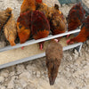 Heavy-Duty Galvanized Steel Chicken Feeding Trough Metal Chicken Feeder