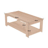 Modern Coffee Table 2-Tier Wooden Center Table Large Side Table Living Room