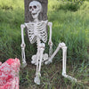 Full Life Size Human Skeleton Halloween Prop Poseable Halloween Party Decoration