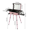 Rolling Makeup Train Case Cosmetic Trolley Organizer Travel w/LED LIght & Mirror