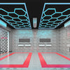 14Hex RGB Hexagon LED Lighting Car Garage Detail Wash Home Workshop Retail Lamp