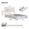 Upholstered Bed with LED Lights and 4 Storage Drawers Platform Bed Frame Beige