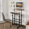 2-Tier Adjustable Standing Desk Mobile Sit Stand computer Desk on Wheels