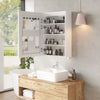 LED Bathroom Mirror Cabinet with Lights Touch Switch 3 Colors LED with Storage