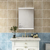 Bathroom Mirror Cabinet Wall Mounted 1/2 Doors Mirror Storage Shelf Cupboard NEW