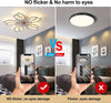LED Ceiling Fan Light Dimmable Chandelier Living Room Lamp With Remote Control