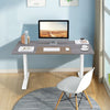 Stand-up Ergonomic Computer Workstation Electric Standing Desk Grey