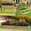 Wooden Garden Planters Flower Plant Pot Window Box Raised Bed Basket Multi Shape
