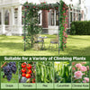 GAINOOM 200x150x197CM Black Tall Grape Vine Support Large Garden Arch Trellis
